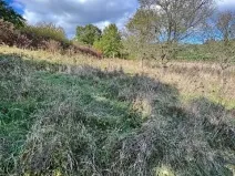 Prodej lesa, Březolupy, 29958 m2