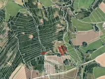 Prodej lesa, Horní Meziříčko, 6626 m2