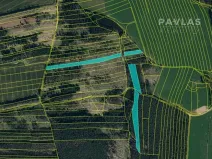 Prodej lesa, Křelovice, 102822 m2