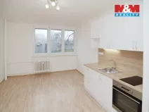 Prodej bytu 1+kk, Ostrava - Moravská Ostrava, Ahepjukova, 25 m2