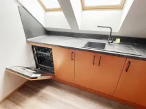 Prodej rodinného domu, Plzeň - Východní Předměstí, Stanko Vodičky, 218 m2