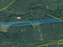 Dražba lesa, Jesenice, 12984 m2