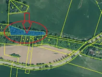 Prodej lesa, Třebohostice, 2163 m2