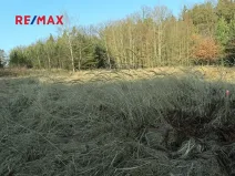 Prodej komerčního pozemku, Přeštice, 3487 m2