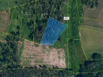 Dražba lesa, Mladoňovice, 1427 m2