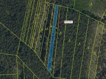 Dražba lesa, Vracov, 1174 m2