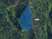 Dražba lesa, Jílové u Držkova, 5751 m2