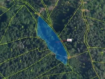 Dražba louky, Jílové u Držkova, 4019 m2