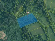 Dražba lesa, Rabí, 6042 m2