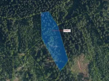 Dražba lesa, Velké Hamry, 5995 m2