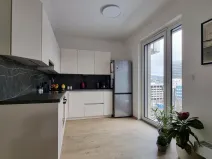 Pronájem bytu 2+kk, Liberec - Liberec III-Jeřáb, U Nisy, 65 m2