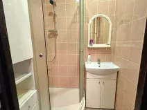 Prodej bytu 2+1, Bílina, M. Švabinského, 56 m2