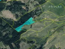 Prodej lesa, Jiříkov, 126160 m2