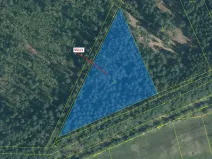 Dražba lesa, Suchdol nad Lužnicí, 9131 m2