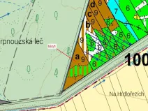 Dražba lesa, Suchdol nad Lužnicí, 9131 m2