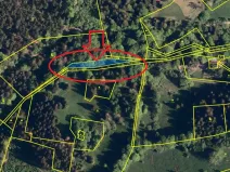 Prodej lesa, Krásná, 824 m2