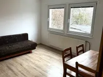 Pronájem bytu 1+1, Boskovice, Vodní, 40 m2