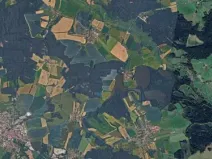 Prodej podílu lesa, Olešnice, 303 m2