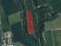 Prodej pole, Soběslavice, 57788 m2