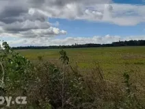 Dražba sadu/vinice, Lišany, 24161 m2