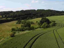 Prodej pozemku, Dobrkovice, 30313 m2