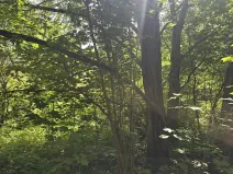 Dražba pozemku, Klášterec nad Ohří, 22680 m2