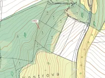 Dražba lesa, Jenišovice, 2305 m2