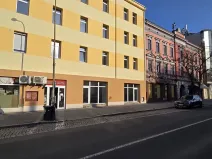 Prodej obchodního prostoru, Přerov, Husova, 700 m2