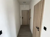 Pronájem bytu 1+kk, Olomouc - Hodolany, Nálevkova, 30 m2