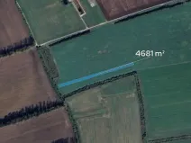 Prodej pole, Bánov, 4681 m2