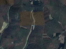 Prodej podílu pole, Lovčice, 546 m2