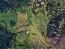 Prodej podílu pole, Vranová Lhota, 736 m2