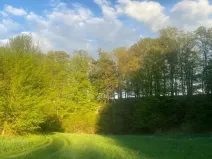 Dražba louky, Tachov, 3829 m2