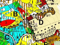 Dražba lesa, Spešov, 135 m2