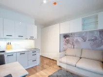 Pronájem bytu 1+kk, Tuchoměřice, V Kněžívce, 22 m2