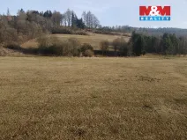 Prodej louky, Záchlumí, 8461 m2