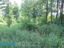 Prodej pozemku, Staré Buky, 154 m2
