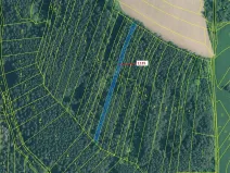 Dražba lesa, Hosty, 1789 m2