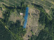 Dražba lesa, Vilice, 3593 m2