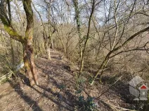 Prodej zahrady, Brno, Turistická, 207 m2