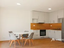 Pronájem bytu 1+kk, Brno, Ondřeje Sekory, 41 m2