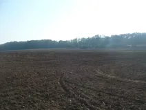 Prodej komerčního pozemku, Veltrusy, 55948 m2