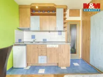 Prodej bytu 1+kk, Plzeň - Lobzy, Sousedská, 20 m2