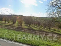 Prodej pole, Čejkovice, 194311 m2