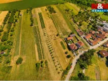 Prodej pozemku pro bydlení, Borkovany, 7835 m2