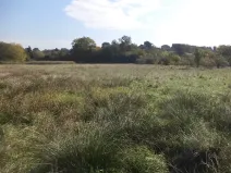 Dražba louky, Církvice, 2352 m2