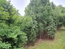 Pronájem bytu 2+1, Praha - Břevnov, Boučkova, 53 m2