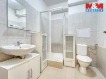 Pronájem bytu 1+kk, Štěnovice, Čižická, 28 m2