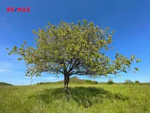 Prodej pozemku pro bydlení, Podsedice, 4847 m2