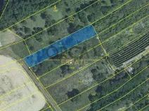 Prodej sadu/vinice, Velké Němčice, 2803 m2